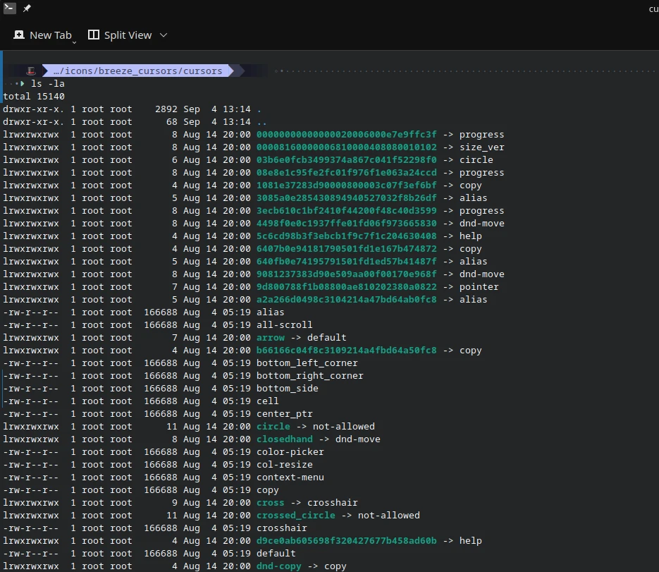 Image showing output of ls -la and several linked files